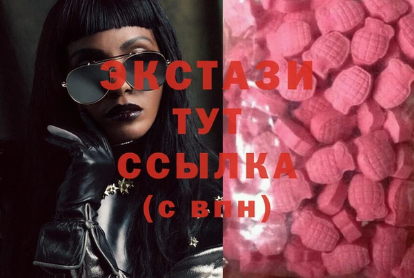 ECSTASY Елизово